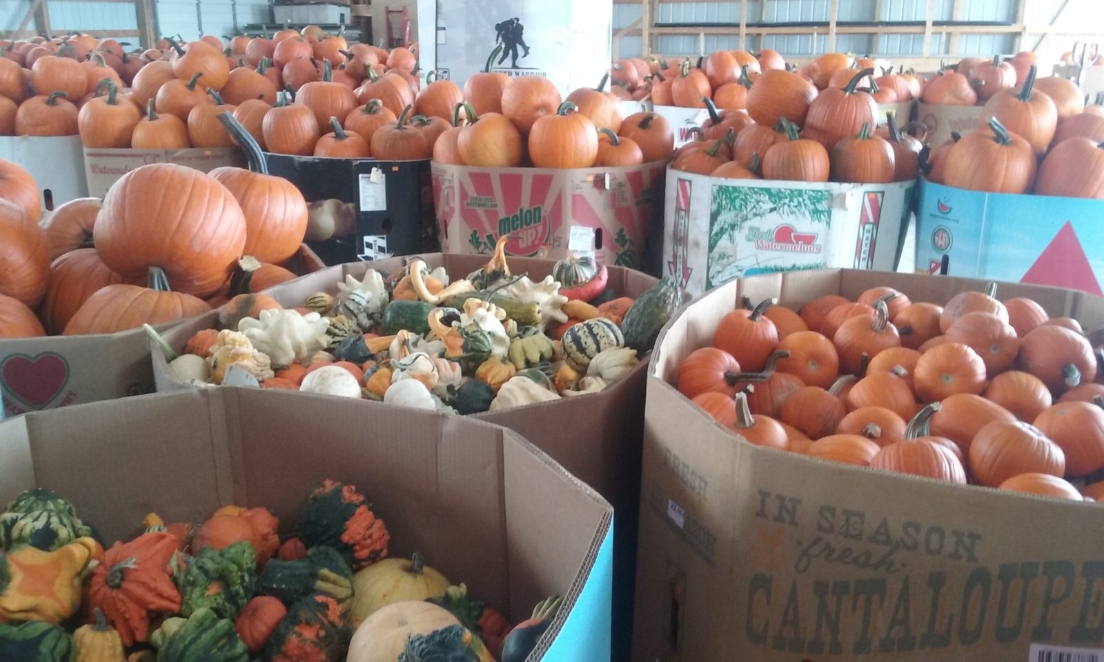 Flower and Produce Growers Produce Auction