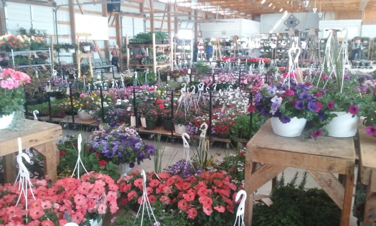 Flower and Produce – Growers Produce Auction